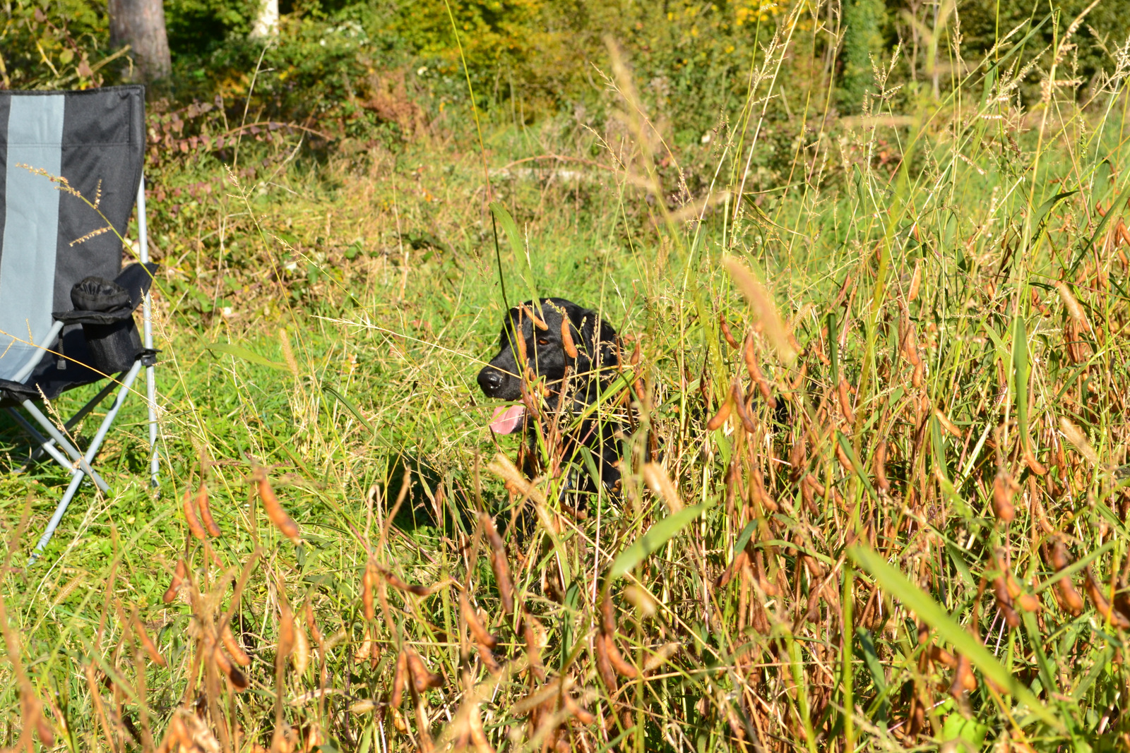 Seminar Jörg 19.10 023
